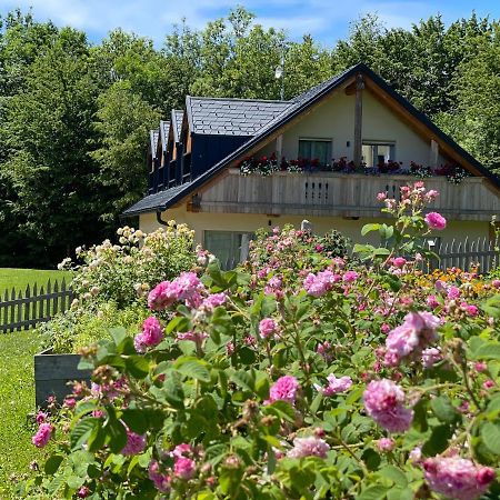 Loft Naturalpina Dolomiti Farm بيلونو المظهر الخارجي الصورة
