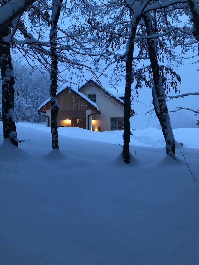 Loft Naturalpina Dolomiti Farm بيلونو المظهر الخارجي الصورة