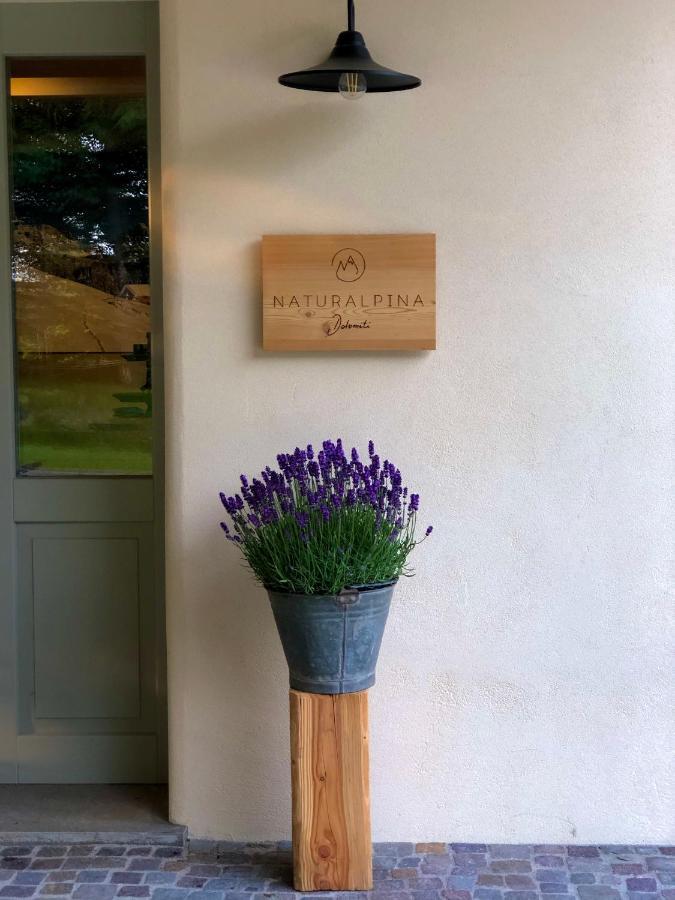 Loft Naturalpina Dolomiti Farm بيلونو المظهر الخارجي الصورة