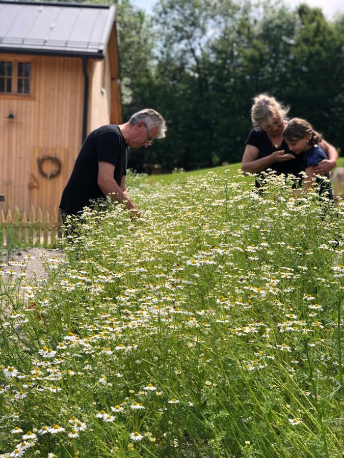 Loft Naturalpina Dolomiti Farm بيلونو المظهر الخارجي الصورة