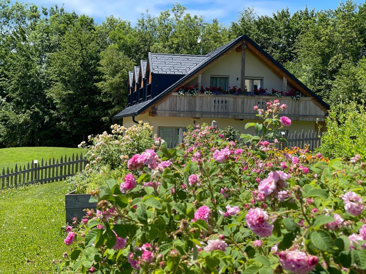 Loft Naturalpina Dolomiti Farm بيلونو المظهر الخارجي الصورة